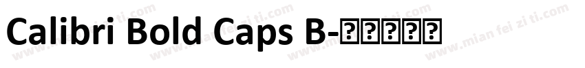 Calibri Bold Caps B字体转换